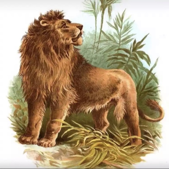 Meet your Posher, Christie - Picture 1 of 1